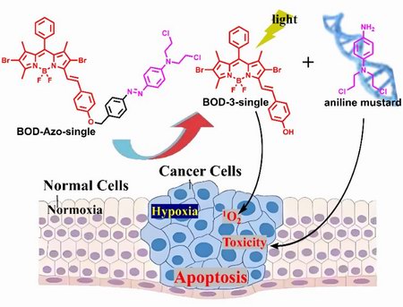 1742981987029051212.jpg 444.jpg