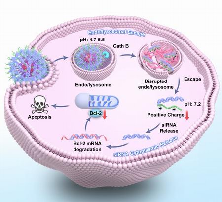 1757647696755012409.jpg 222.jpg